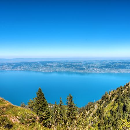 Zenitude Hôtel-Résidences Les Terrasses du Lac Évian-les-Bains Esterno foto